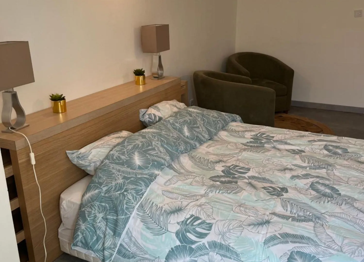 Le Barnave Apartment Valence