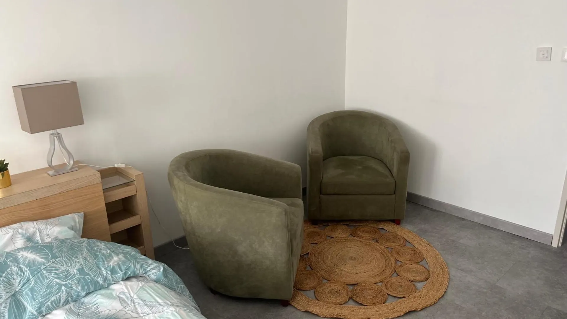 Le Barnave Apartment Valence