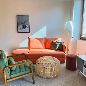 Duplex Lumineux 2 Centre Zone Piétonne, Parking Gratuit 4 Minutes De Marche Appartement